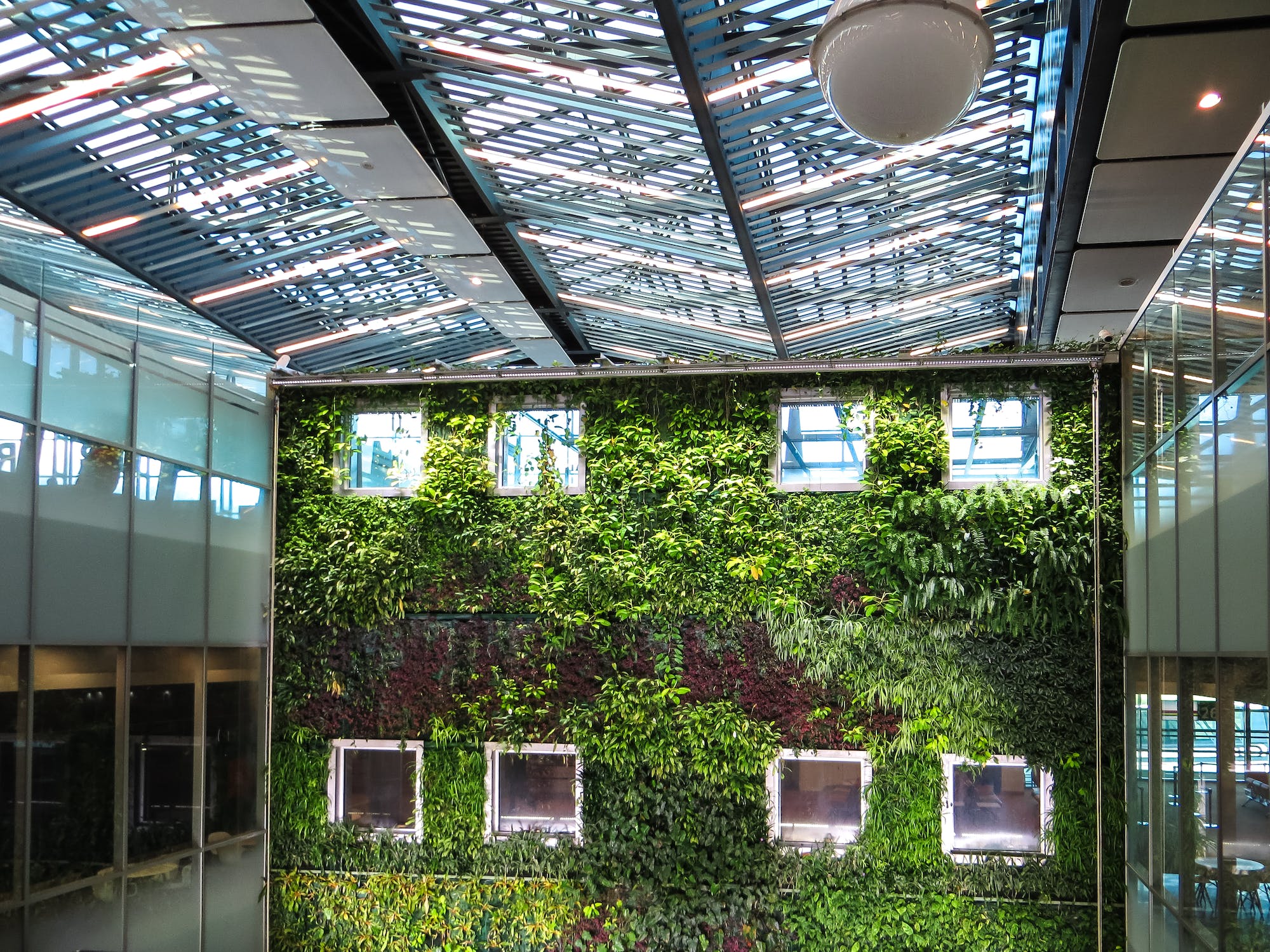 Vertical Gardening Systems: Maximizing Small Spaces for Big Yields