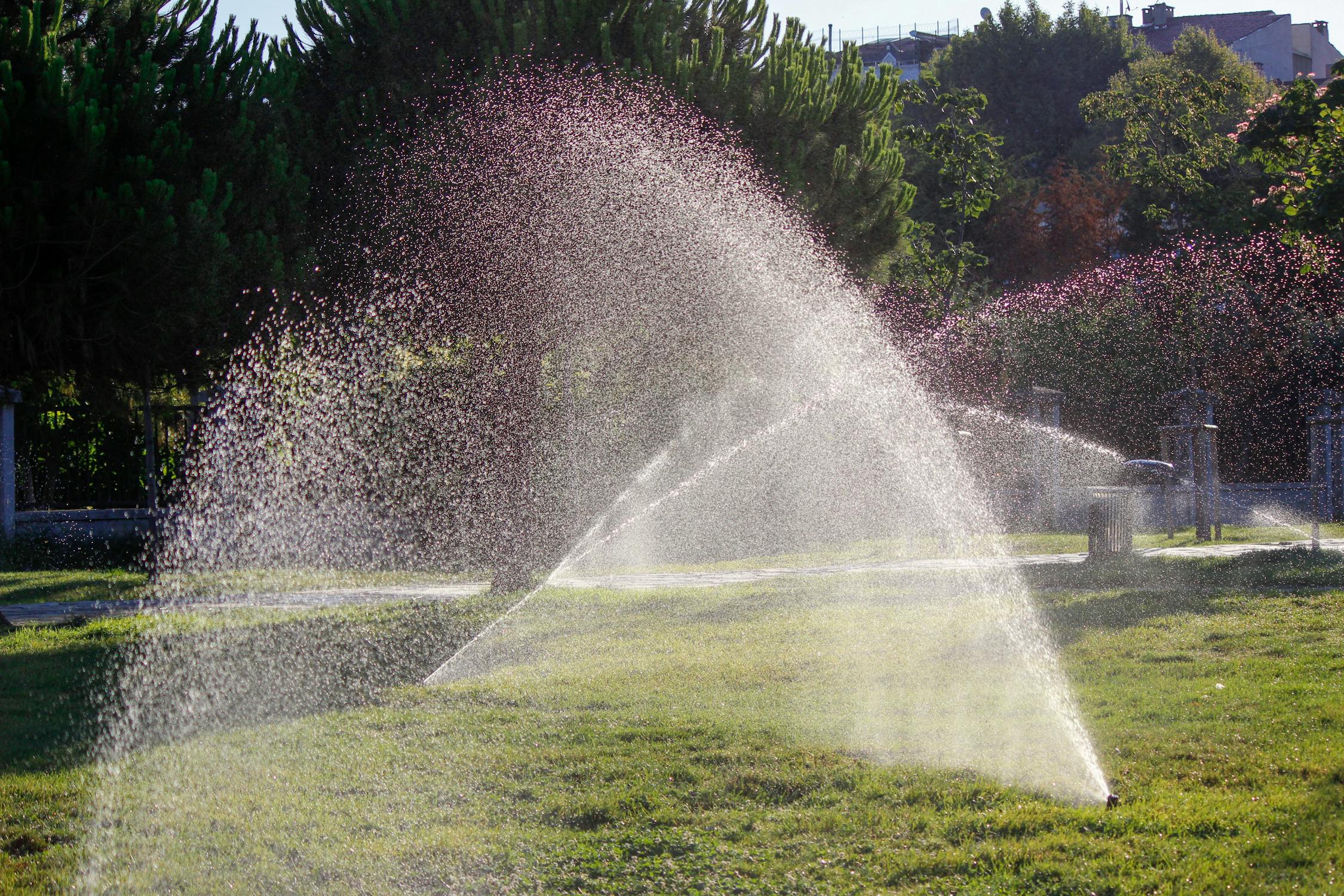 Watering Wisely: A Comparative Review of Watering Systems