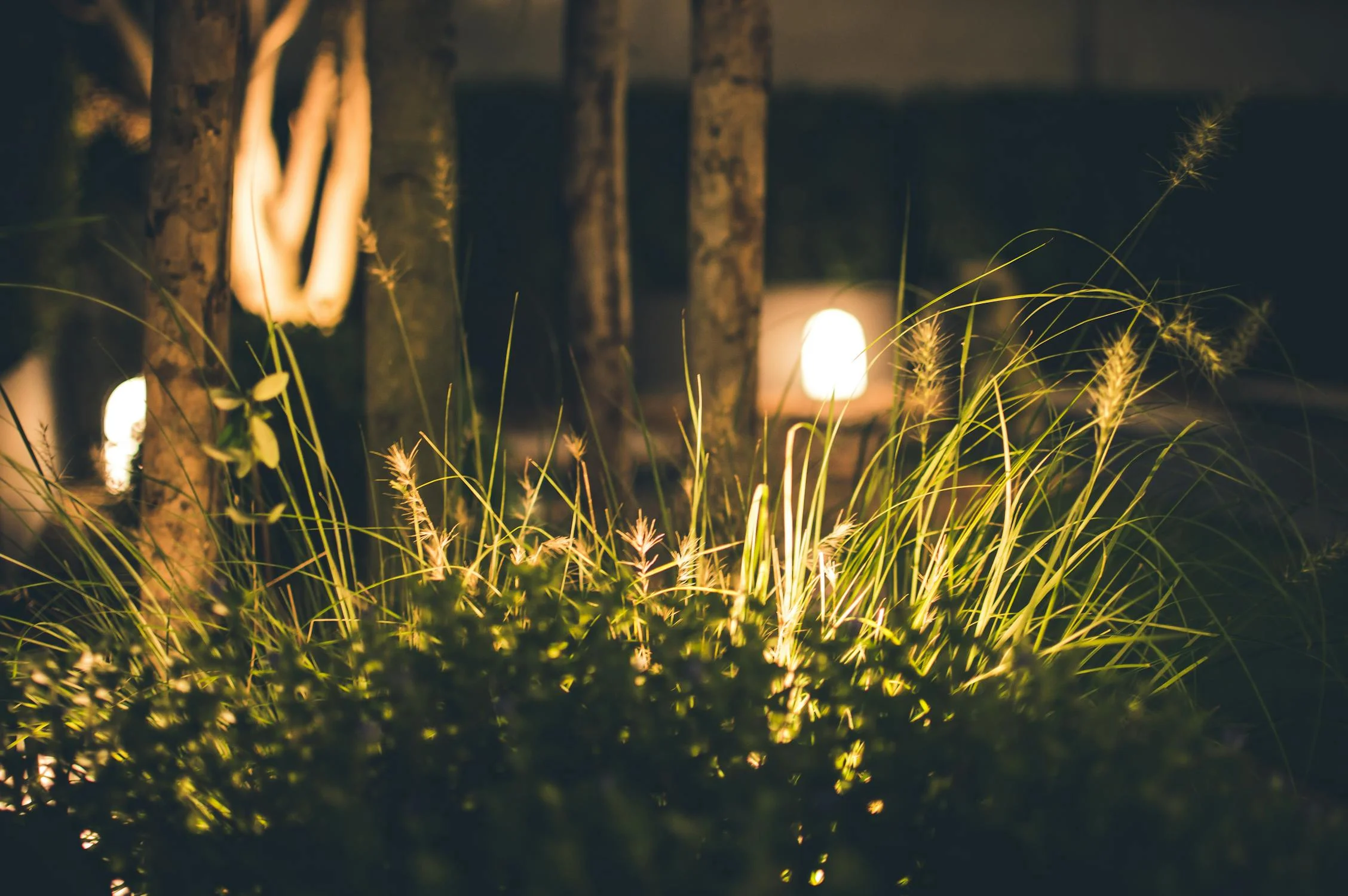 The New Wave of Garden Lighting: Illuminating Your Outdoor Space