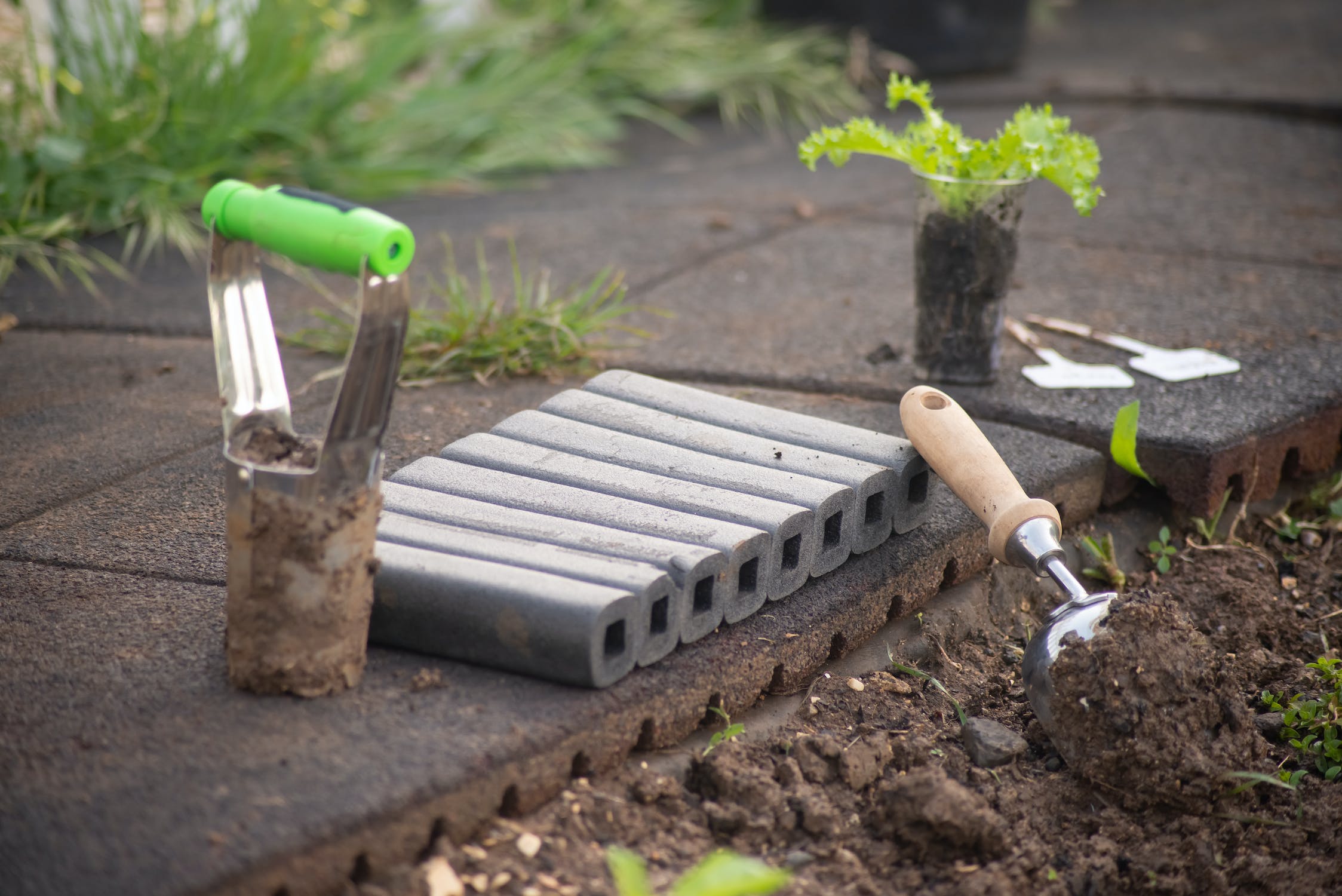 11 Essential Garden Tools Every Gardener Needs: A Comprehensive Guide